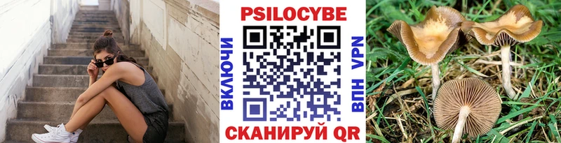 Галлюциногенные грибы прущие грибы  Курлово 